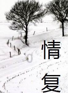 国网观察｜大道通衢畅九州，奋进湖北绘就开放新图景