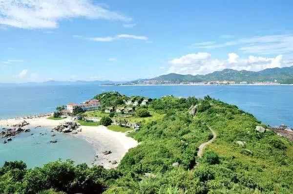 东京迷城